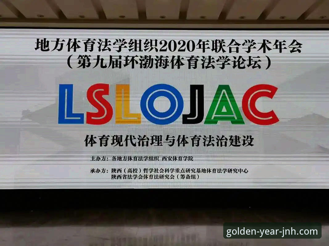 金年会体育下载全攻略：老用户分享使用心得与技巧